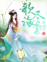 新澳天天彩免费资料大全查询小说排行榜2011前十名